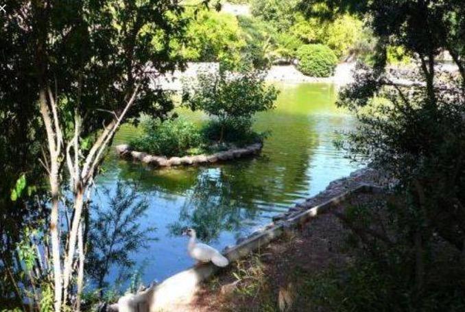 Bellini Bed and Breakfast Κάλιαρι Εξωτερικό φωτογραφία